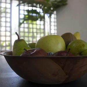 https://mango-mansion-international-hostel.comcaribbean.com
